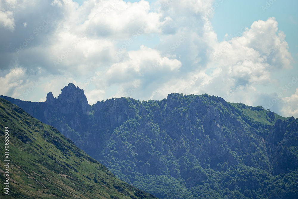 Steep rock cliffs in the middle of mountains ad trees growing over the cliffs with clouds in the background, Switzerland Steep rock cliffs in the middle of mountains ad trees growing over the cliffs with clouds in the background, Switzerland