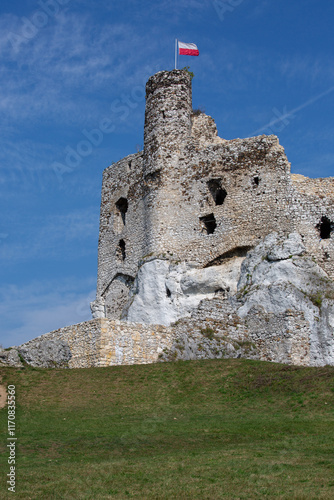 Obraz na płótnie Medieval gothic Mirow Castle located on the Polish Jurassic Highland, Mirow, Poland w salonie