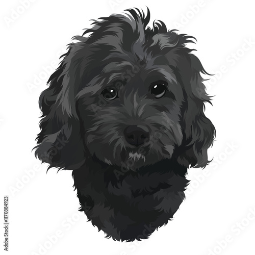 cocker spaniel dog