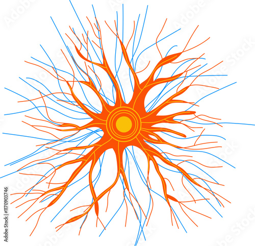 Neural pathway