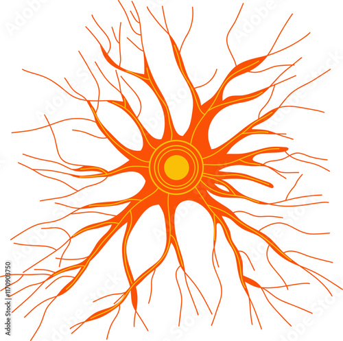 Neural pathway