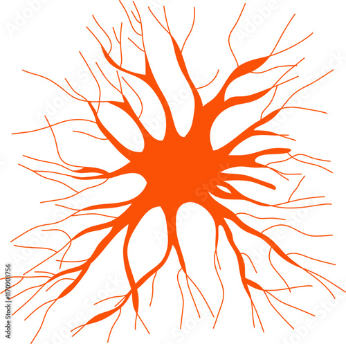 Neural pathway