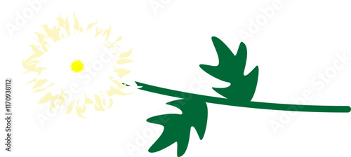 국화