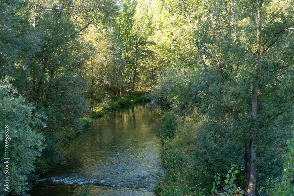 Torío Park at the entrance to the city of León, a passage on the French Way of St. James in Spain in 2024