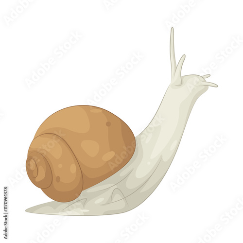 Illustration of snail 
