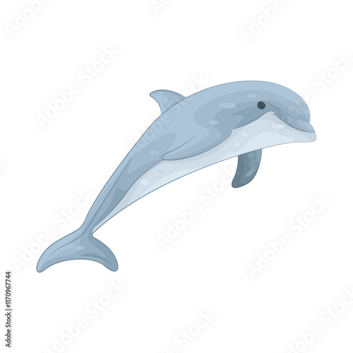 Illustration of dolphin 