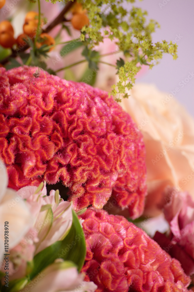 Close-Up of Vibrant Pink Cockscomb Flower in Floral Arrangement Close-Up of Vibrant Pink Cockscomb Flower in Floral Arrangement