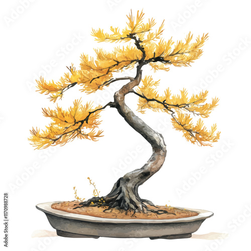 A watercolor vector painting of a Golden Larch Bonsai, isolated on a white background. Golden Larch Bonsai vector.

