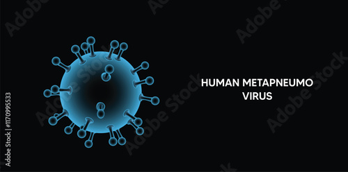 Human Metapneumovirus respiratory virus vector on black isolated