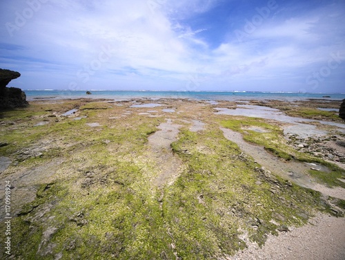 Shallow waters of the island covered with coral, Tarama Island, Okinawa
 photo