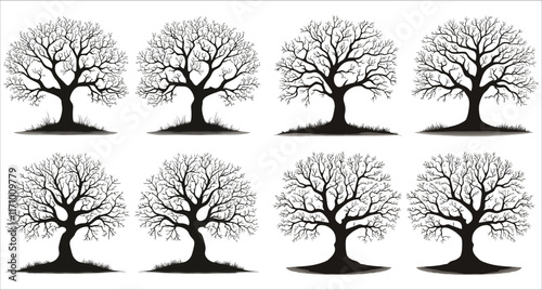 Abstract tree without leaves icon vector, Tree without leaves silhouettes vector, Black silhouettes of a leafless tree, Abstract leafless tree silhouette in the forest