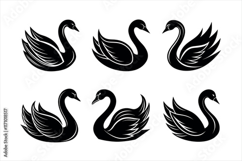 Elegant Black Swan Silhouettes Set vector icon design
