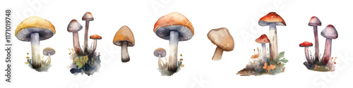 Watercolor set with mushroom. Mushrooms plants.