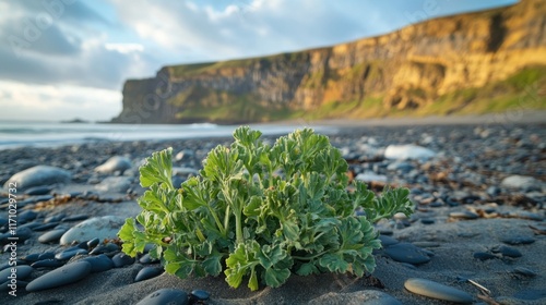 Canvastavla A vibrant sea kale plant standing resiliently on a windswept beach, with dramatic coastal cliffs in the background --ar 16:9 --v 6