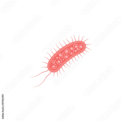 Escherichia Coli Illustration