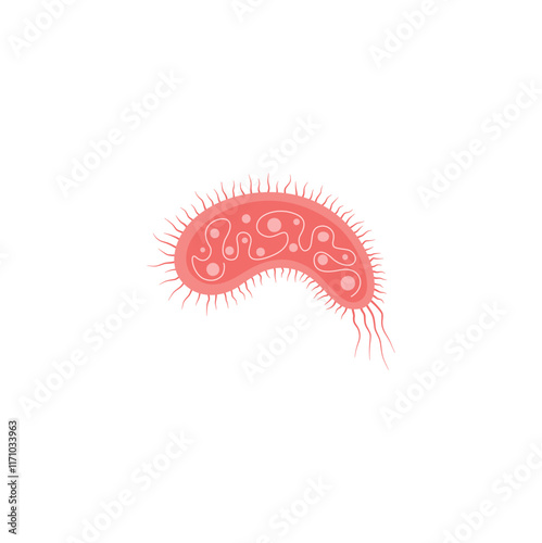 Escherichia Coli Illustration