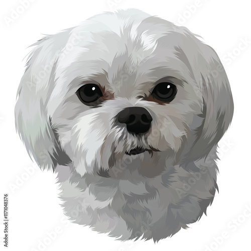 close up of a white dog