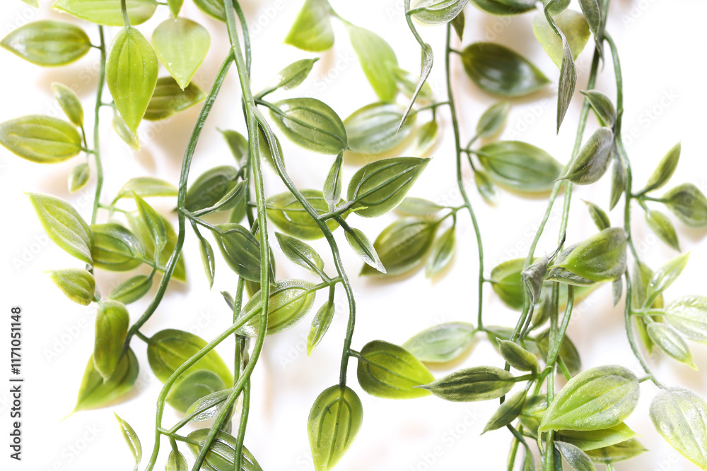 Obraz premium Artificial plant with hanging vines made of plastic. Leaves texture. Home interior decoration.