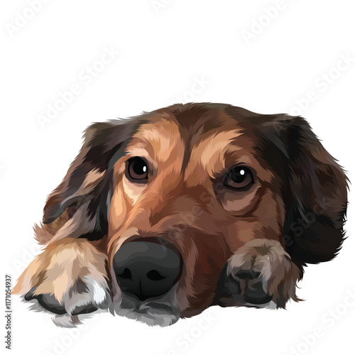 portrait of a dachshund