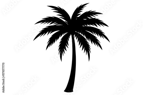 palm tree silhouette