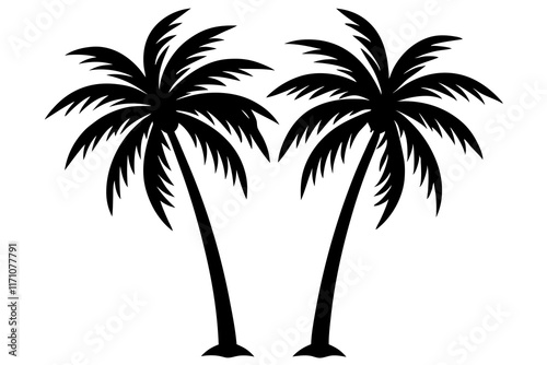 palm tree silhouette