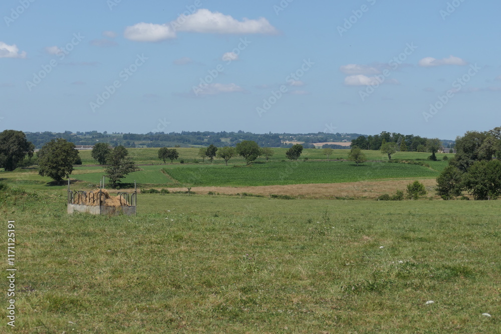 From a hilltop, a breathtaking panoramic view unfolds over the green patchwork of French agricultural fields. Rolling hills stretch into the horizon. From a hilltop, a breathtaking panoramic view unfolds over the green patchwork of French agricultural fields. Rolling hills stretch into the horizon.