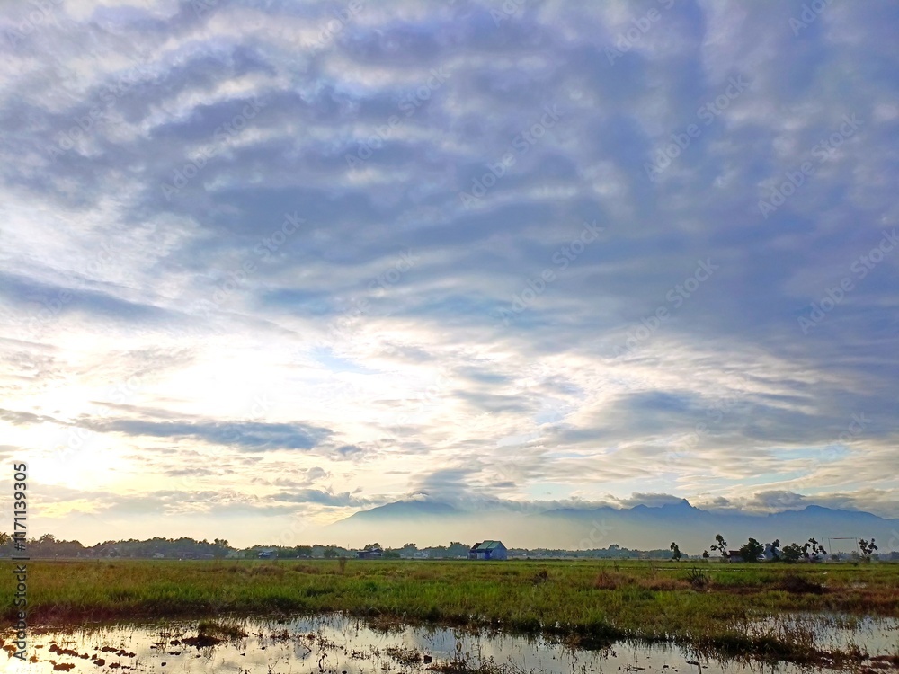 Rice fields at sunrise and silhouetted mountains at the end, with blue sky and clouds