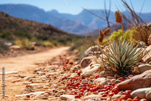 A dry riverbed meandering through red rock canyons and patches of desert vegetation captures true essence of Arizona's desert landscape photo