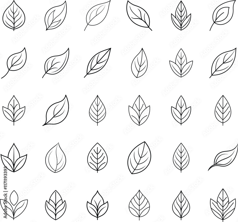 Simple Line Art Leaf Illustrations Botanical Design Elements Simple Line Art Leaf Illustrations Botanical Design Elements