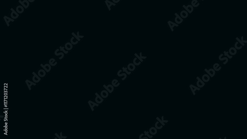 Paparazzi Camera Flashes Animation with dark blue background.
