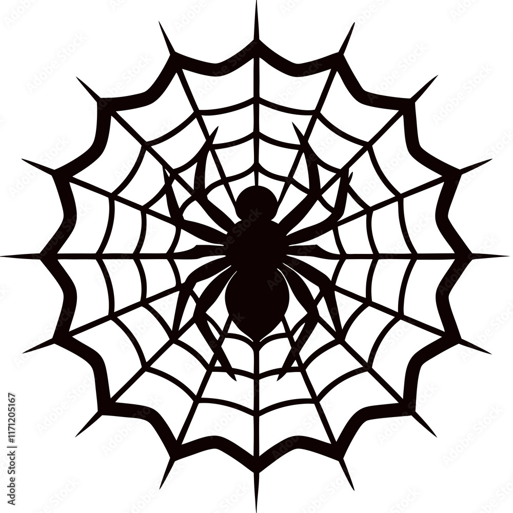 Obraz premium spider and web