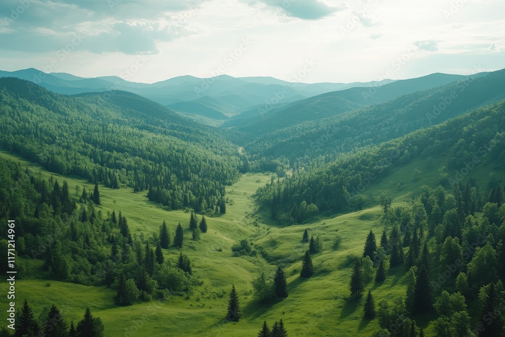 Fototapeta premium Majestic carpathian mountains landscape romania nature photography lush green valleys aerial view scenic serenity