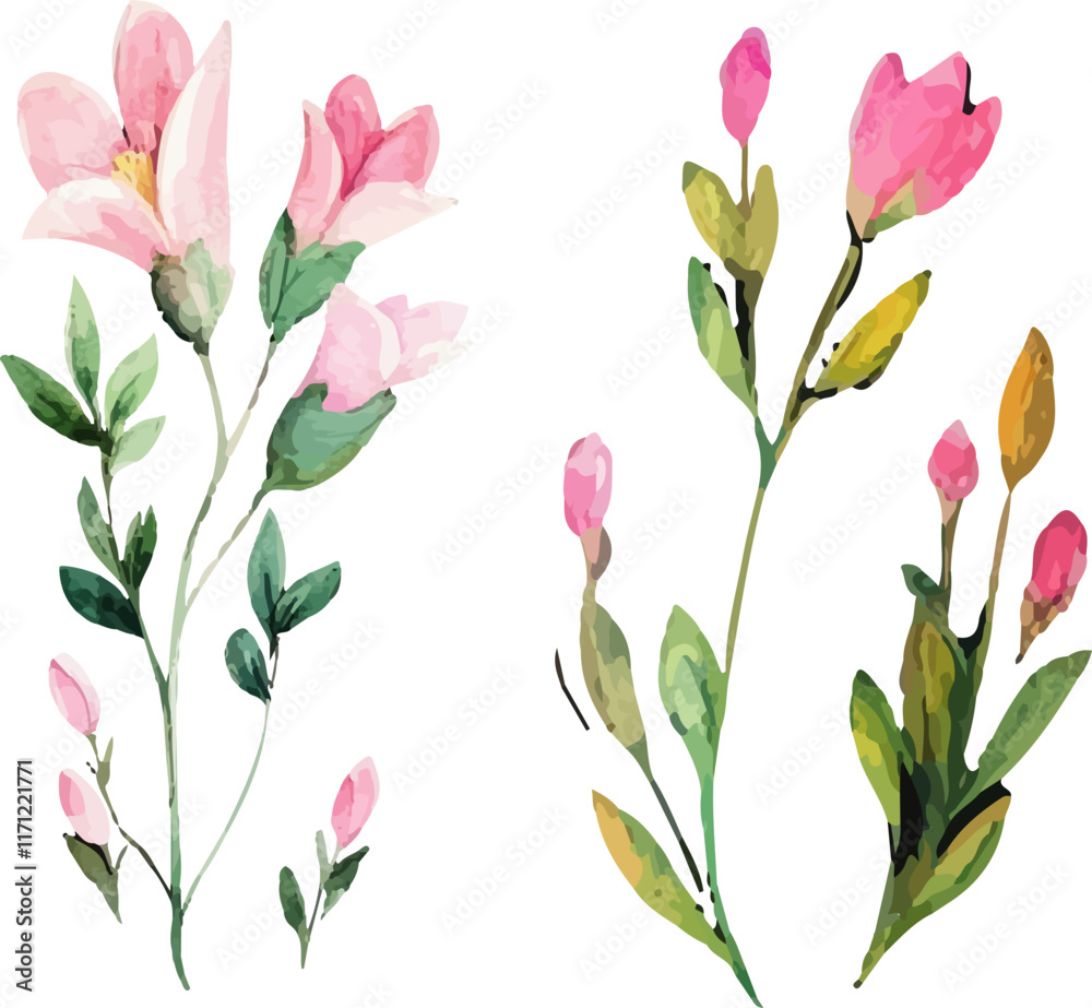 Obraz premium pink and white tulips