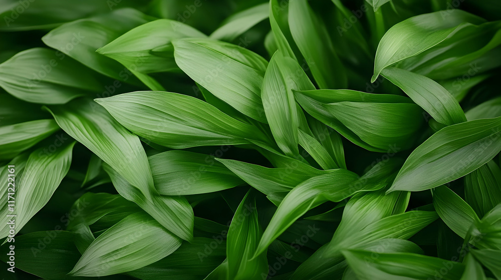 Obraz premium Lush green leaves background, vibrant foliage, nature texture, spring growth, website banner.