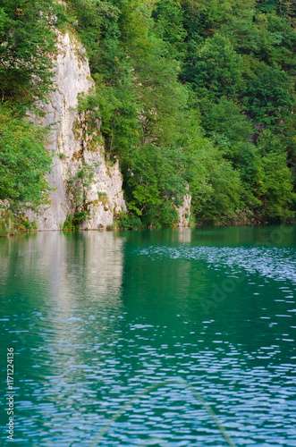 lake in the woods