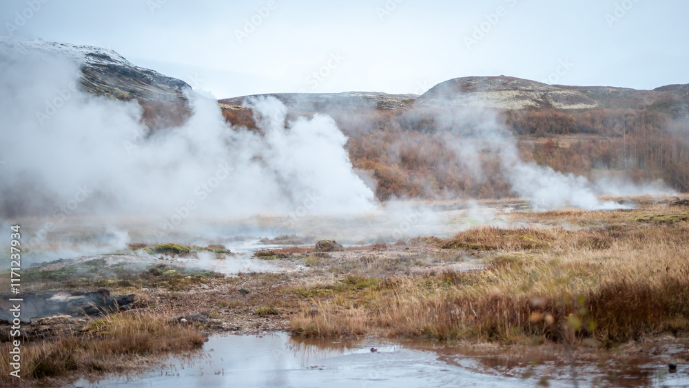 Geysir hot springs. Iceland Haukadalur Valley. Geysir hot springs. Iceland Haukadalur Valley.