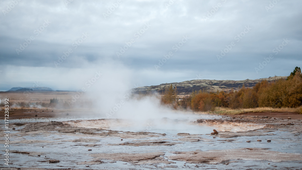 Geysir hot springs. Iceland Haukadalur Valley. Geysir hot springs. Iceland Haukadalur Valley.