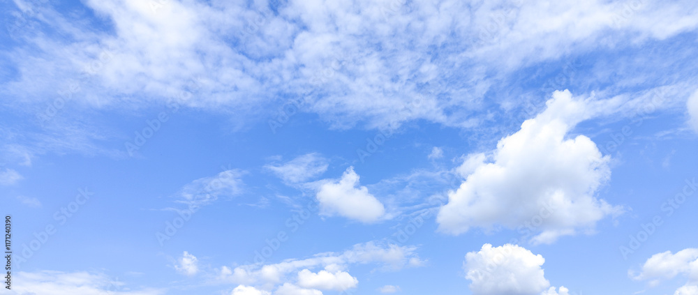 Fototapeta premium Clear Blue Sky White Clouds