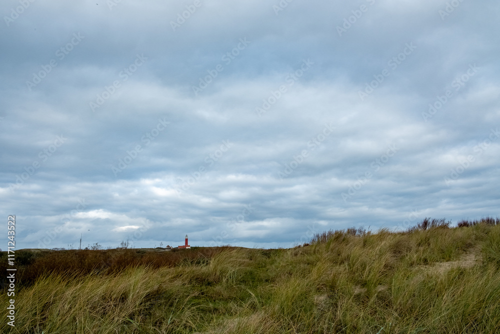 Eierland, De Cocksdorp, Texel, The Netherlands, Oktober 28th, 2024, A serene and tranquil coastal scene showcasing rolling grasscovered hills beneath a moody and overcast sky Eierland, De Cocksdorp, Texel, The Netherlands, Oktober 28th, 2024, A serene and tranquil coastal scene showcasing rolling grasscovered hills beneath a moody and overcast sky
