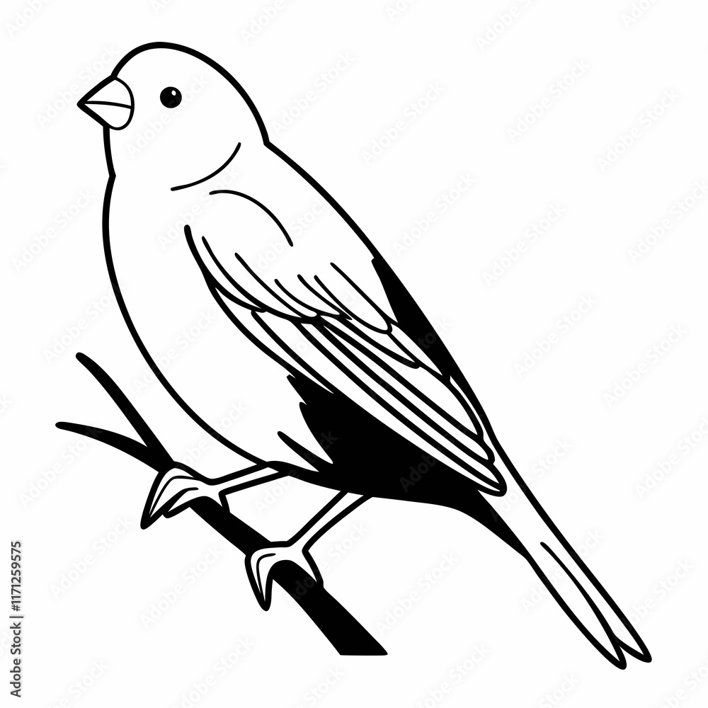 illustration of a bird