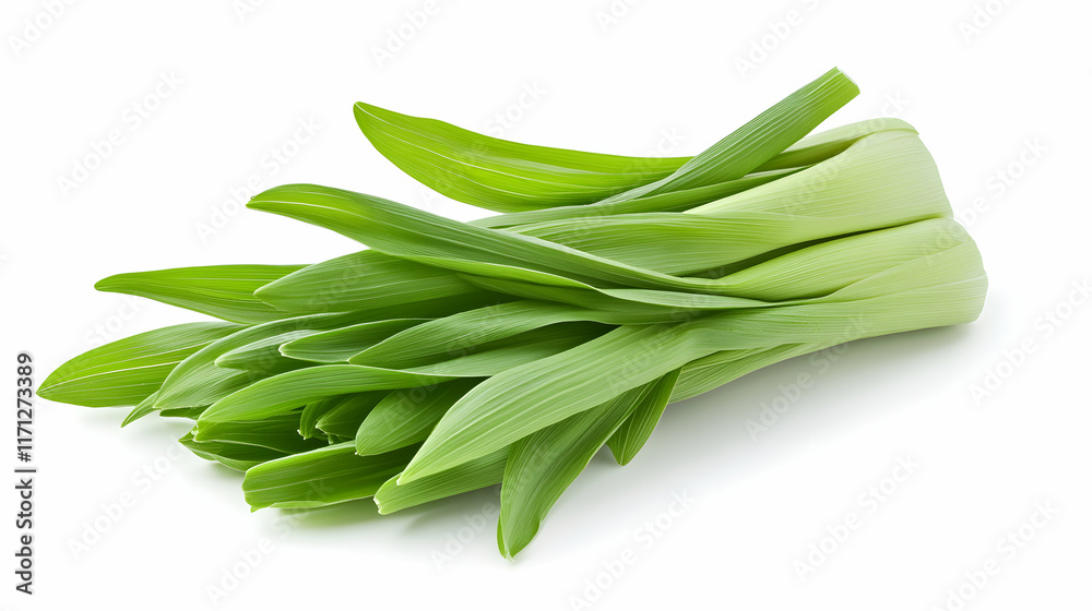 Fresh Ramson Bunch Studio Shot White Background Culinary Ingredient. Fresh Ramson Bunch Studio Shot White Background Culinary Ingredient.