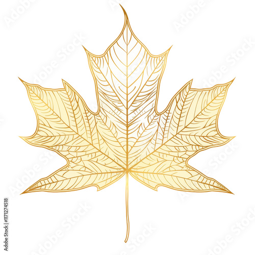 Maple leaf in golden line art isolated on transparent or white background