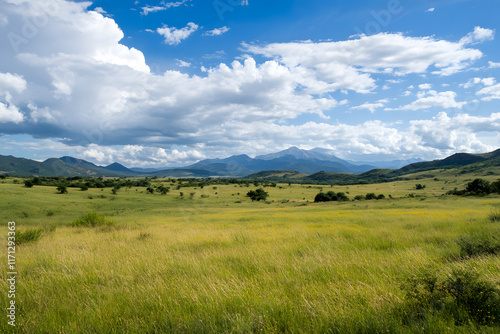 Empty green meadow with moutains in the background, grass field with a bit of blue sky at summer © Jan