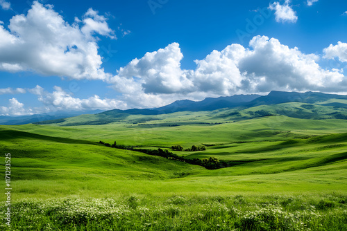 Empty green meadow with moutains in the background, grass field with a bit of blue sky at summer