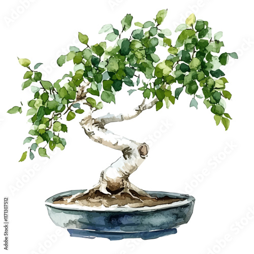 A watercolor vector painting of a Birch Bonsai, isolated on a white background. Birch Bonsai vector.

