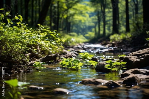 Creeks play a crucial role in ecosystems by serving as a vital link that connects plants, animals, and natural environment photo