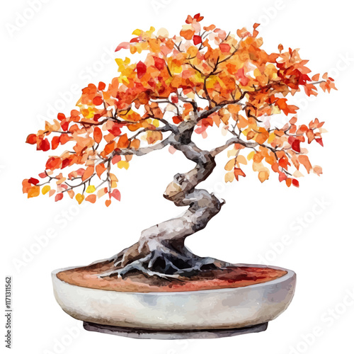 A watercolor vector painting of a Beech Bonsai, isolated on a white background. Beech Bonsai vector.

