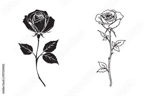 Black and White Rose Illustration for Print and Digital Use