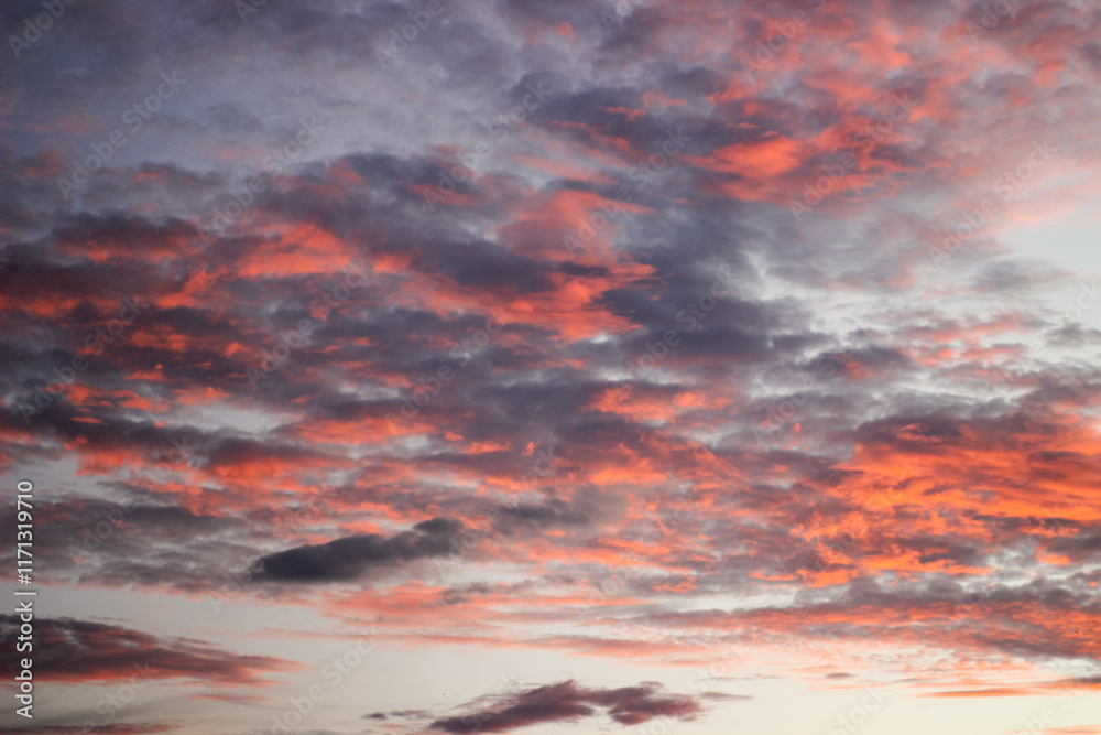 Naklejka premium Beautiful clouds. Dramatic majestic scenery sunset. Sky with clouds in Sunrise sky light background. Sunrise with clouds in various shapes. Sunset background
