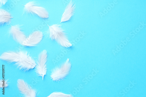 Beautiful fluffy feathers on light blue background, flat lay. Space for text